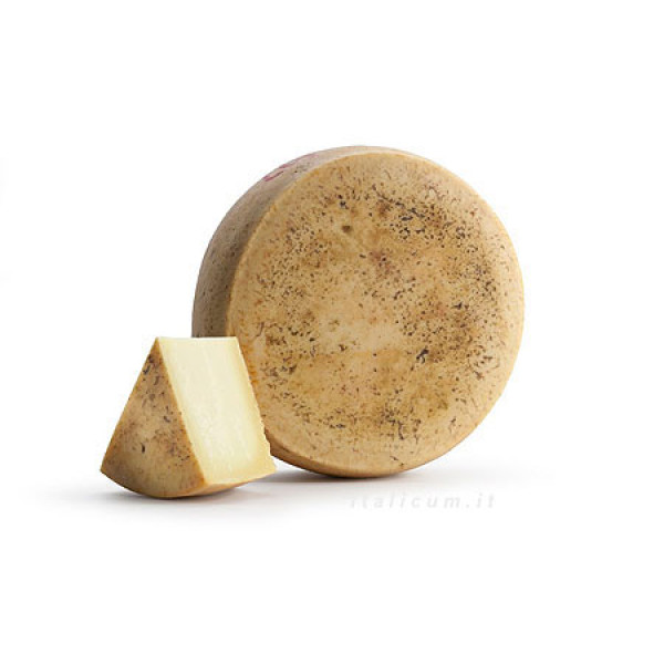 Maiorchino formaggio siciliano 500.gr. Maiorchino formaggio siciliano 500.gr.