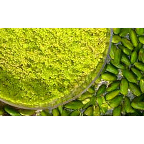 FARINA DI PISTACCHI SICILIANI - gr.100